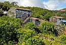 Casa da Vinha