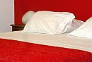 Hotel Alcides